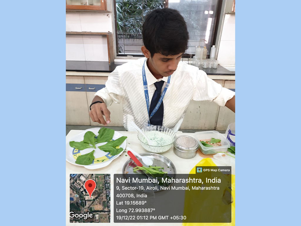 STRING FESTIVAL 2022-23