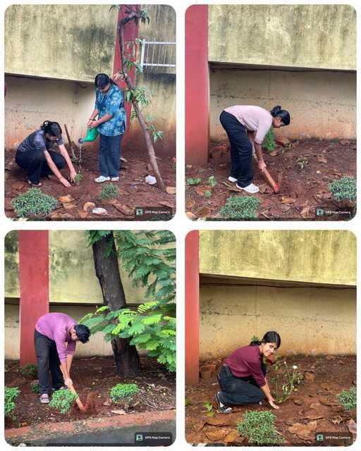 TREE PLANTATION DRIVE-