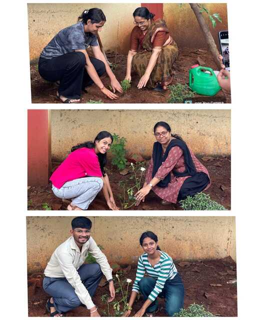 TREE PLANTATION DRIVE-