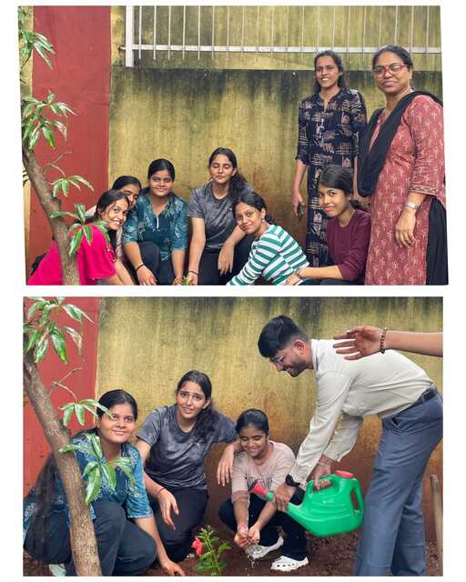 TREE PLANTATION DRIVE-