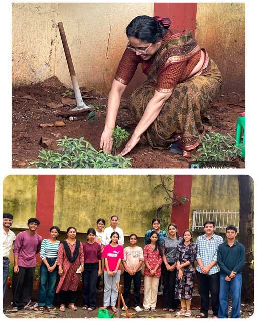 TREE PLANTATION DRIVE-